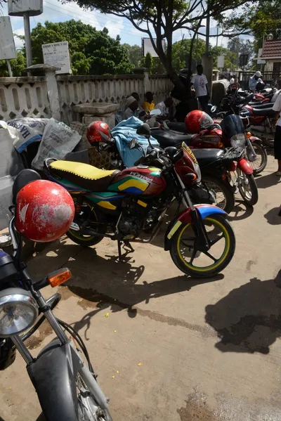 DSC_7598 (Large).JPG